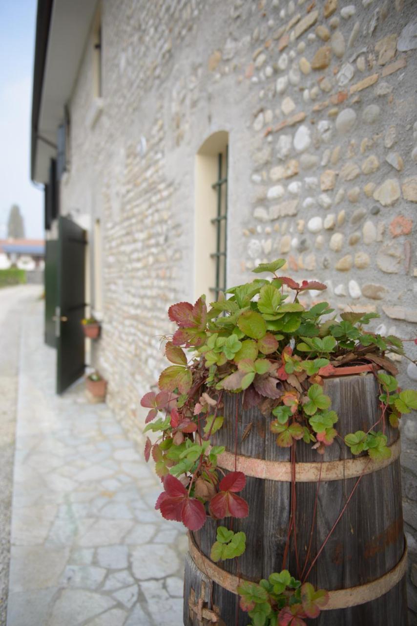 Ca' Premuda Locazione Turistica Villa Codognè Exteriör bild